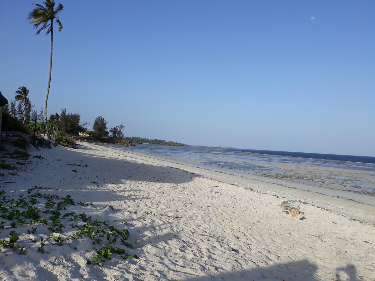 Mango Lodge Msambweni Kisimachande Экстерьер фото